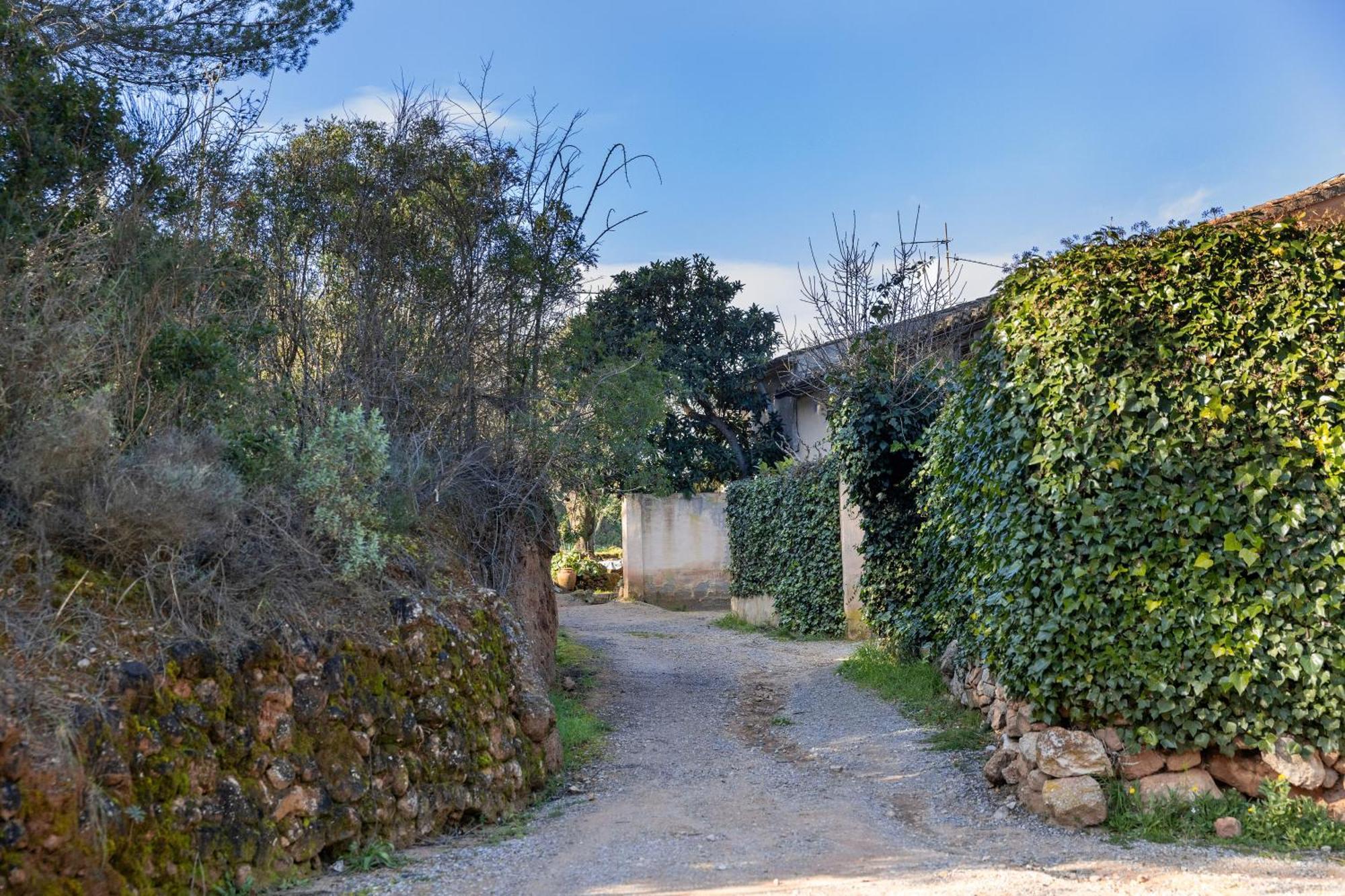 Maison d'hôtes Cal Contra à Gélida Extérieur photo